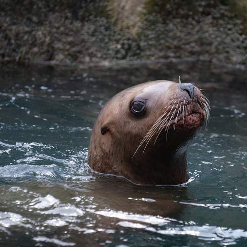 Photo #9689523