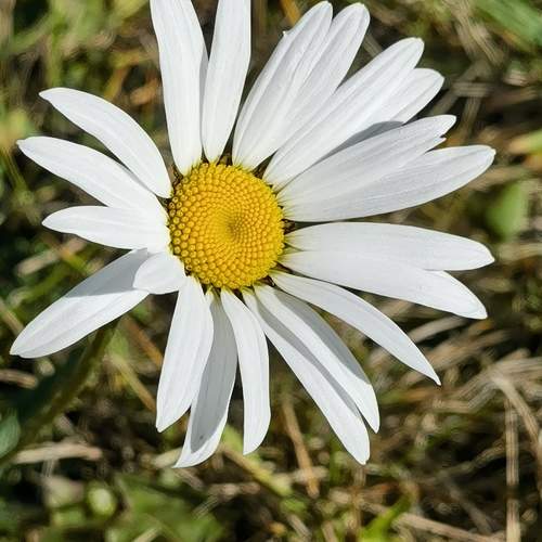 Photo #9689551