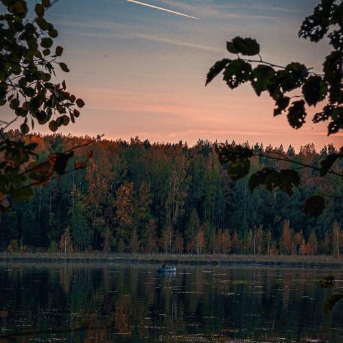 Photo #9689614