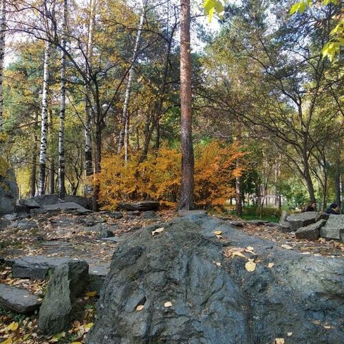 Photo #9689649