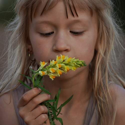 Photo #9689870