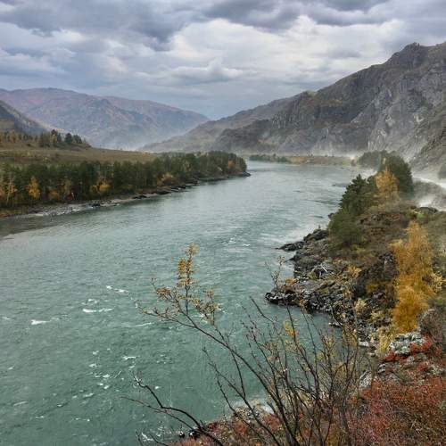 Photo #9690146