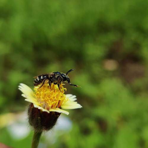 Photo #9690309