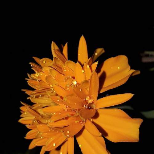 Photo #9690357