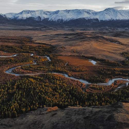Photo #9690461