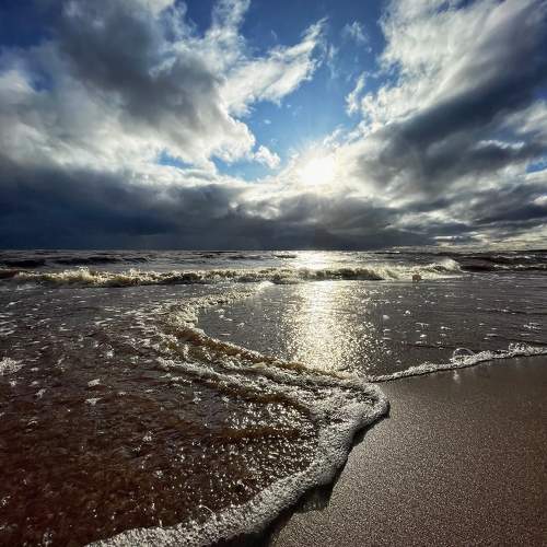 Photo #9690517