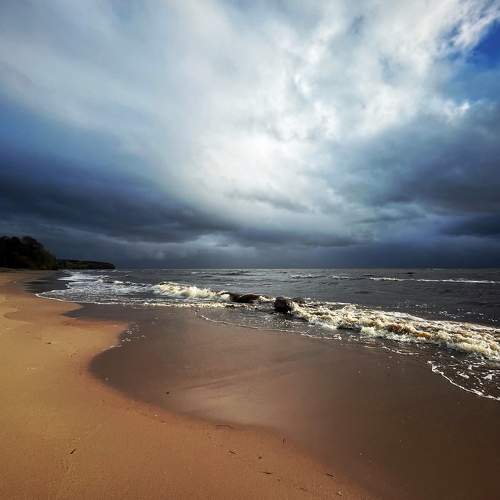 Photo #9690518