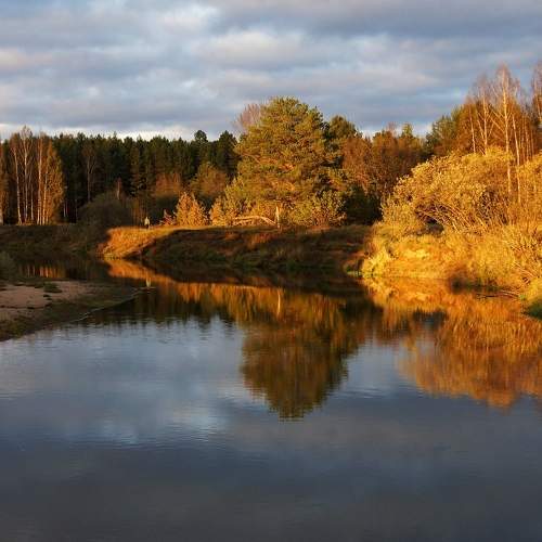 Photo #9690949