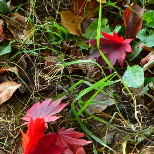 Photo #9691050