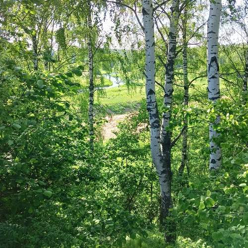 Photo #9691205