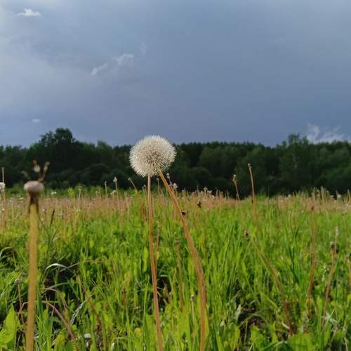 Photo #9691206