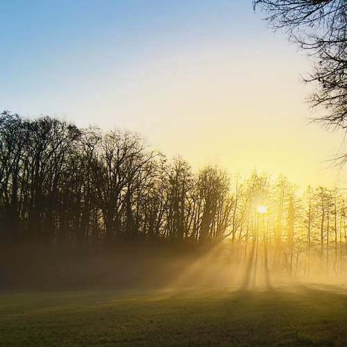 Photo #9691286