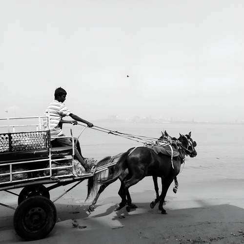 Photo #9691715