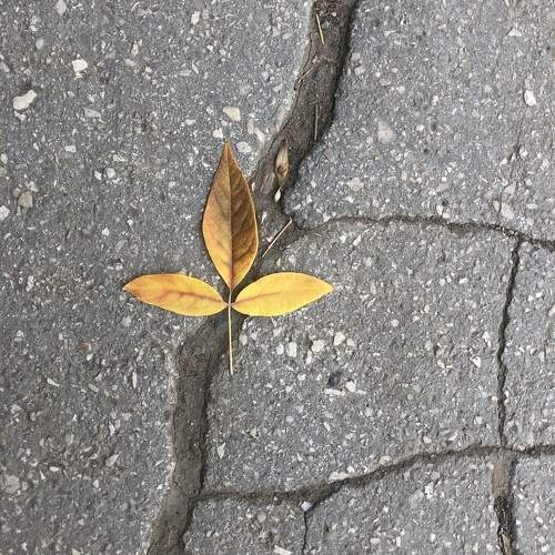 Photo #9691770