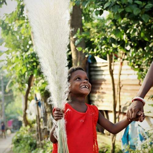 Photo #9691847