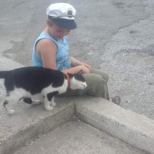 Photo #9692217