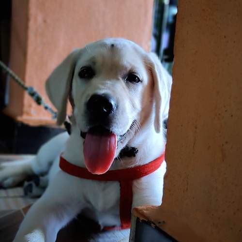 Photo #9692302