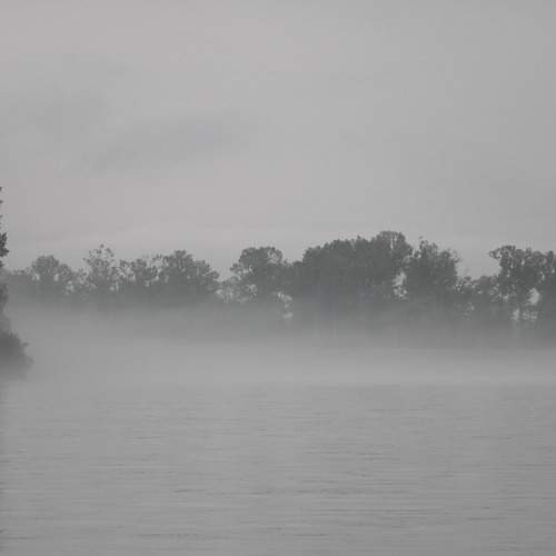Photo #9692319