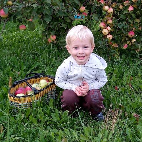 Photo #9692503