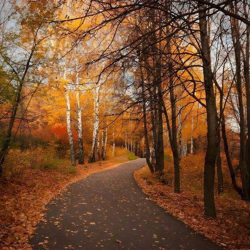 Photo #9692578