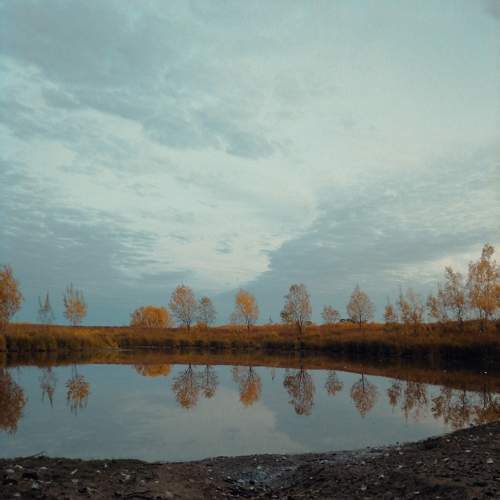 Photo #9692781
