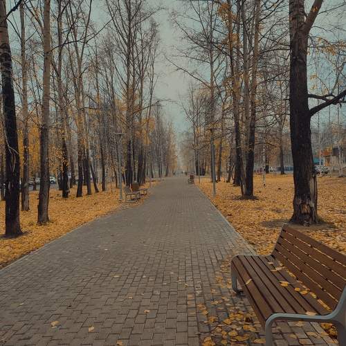 Photo #9692784