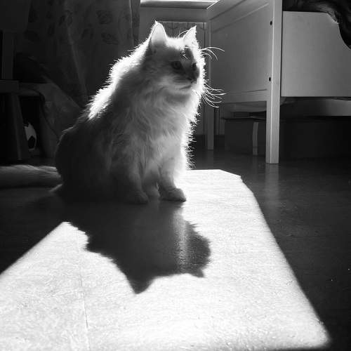 Фотография #9692848