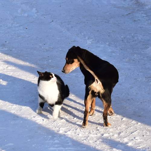 Photo #9693049