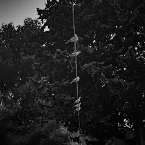 Photo #9693176