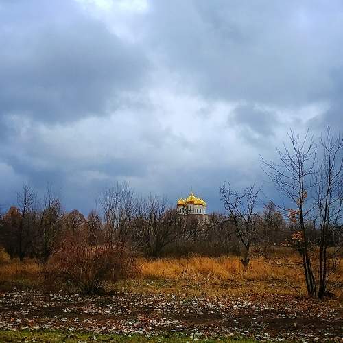 Photo #9693466