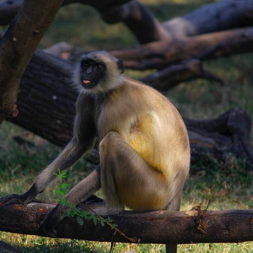 Photo #9693889
