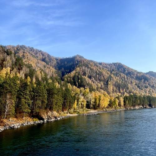 Photo #9694051