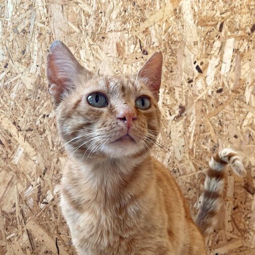 Photo #9694101
