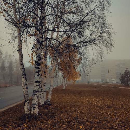 Photo #9694303