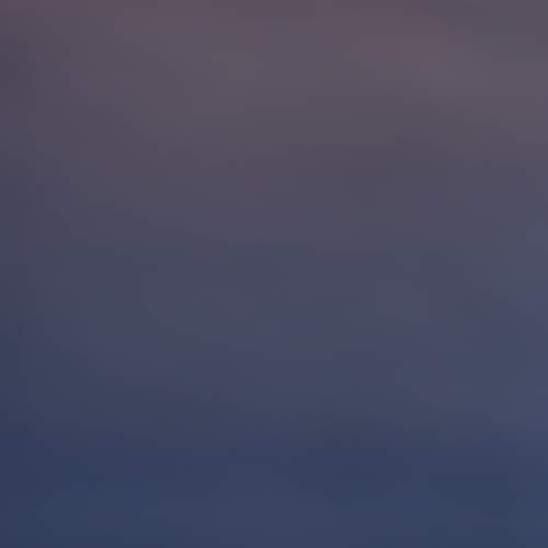 Photo #9694318