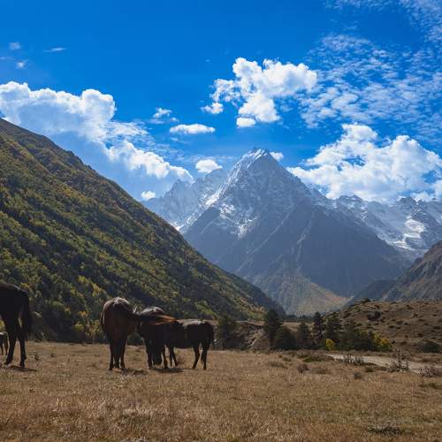 Photo #9694339