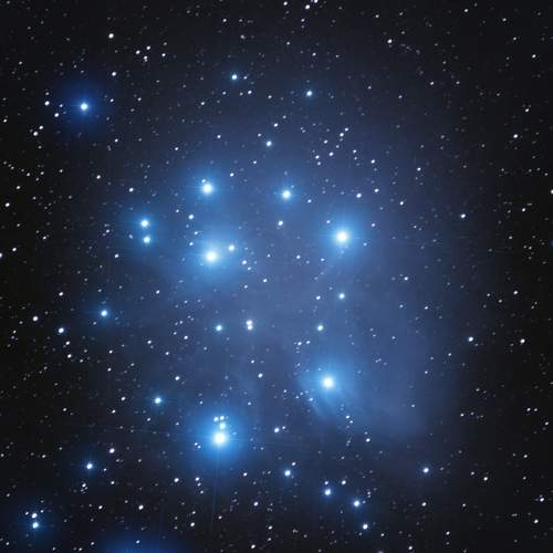 Фотография #9694717