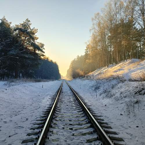 Photo #9694733