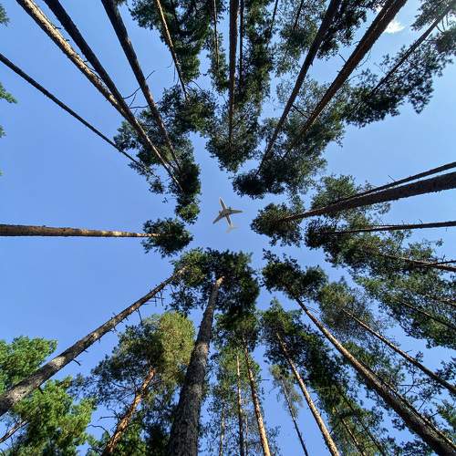 Photo #9694739