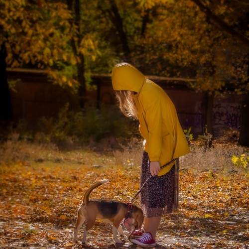 Photo #9694774
