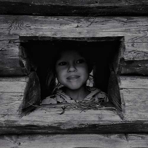Photo #9694880