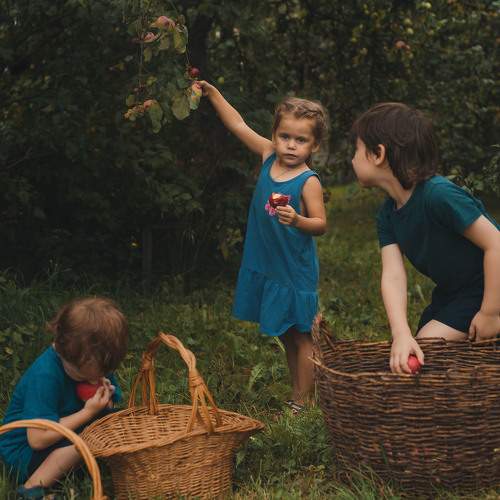 Photo #9695226