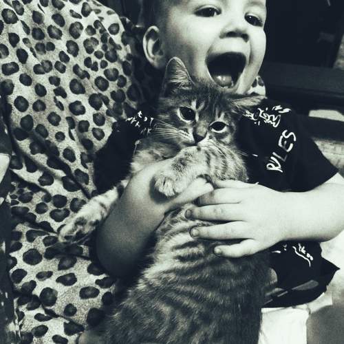 Photo #9695382