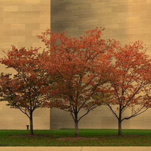 Photo #9695547
