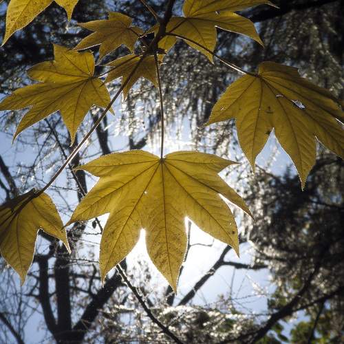 Photo #9695600