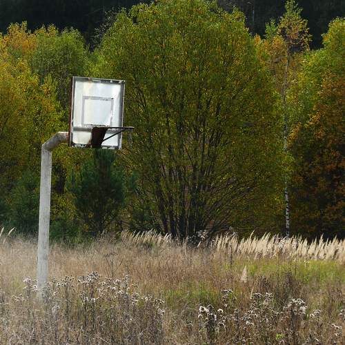 Photo #9695618