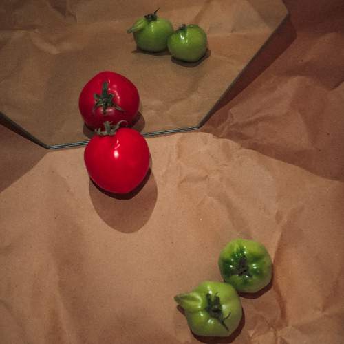 Photo #9695648