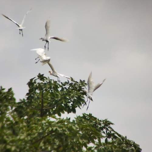 Photo #9695720