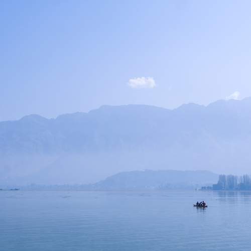 Photo #9695792