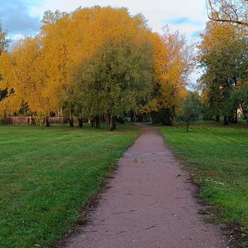 Photo #9695928
